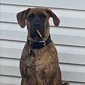 Meet your Posher, Dean